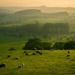 Séjour à la ferme