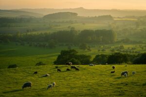 Séjour à la ferme