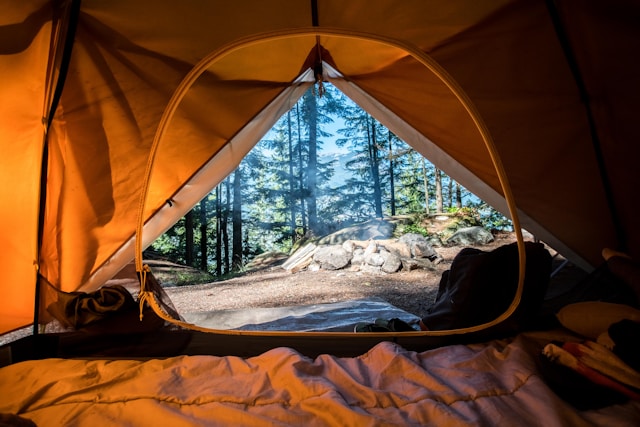 camping en forêt